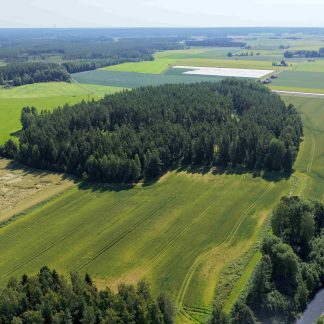 Esihistoriaseminaari 2026