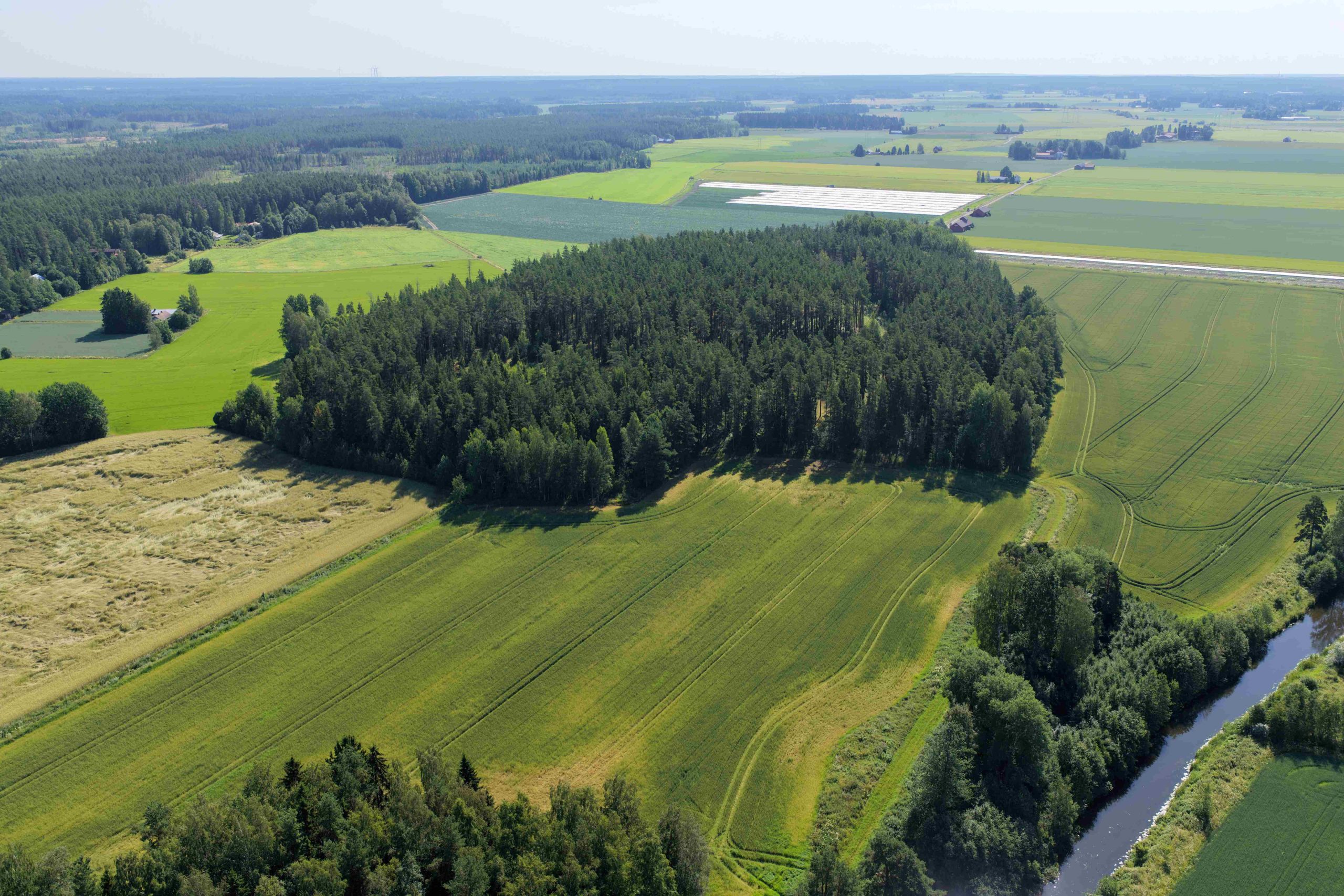 Esihistoriaseminaari 2026